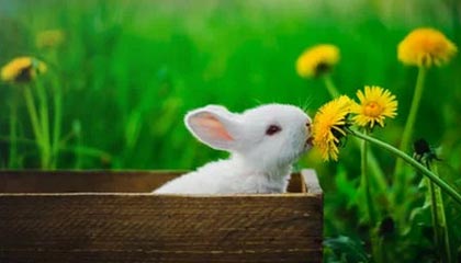 澳门伴游，定制QQ：3494206190微信：act1322